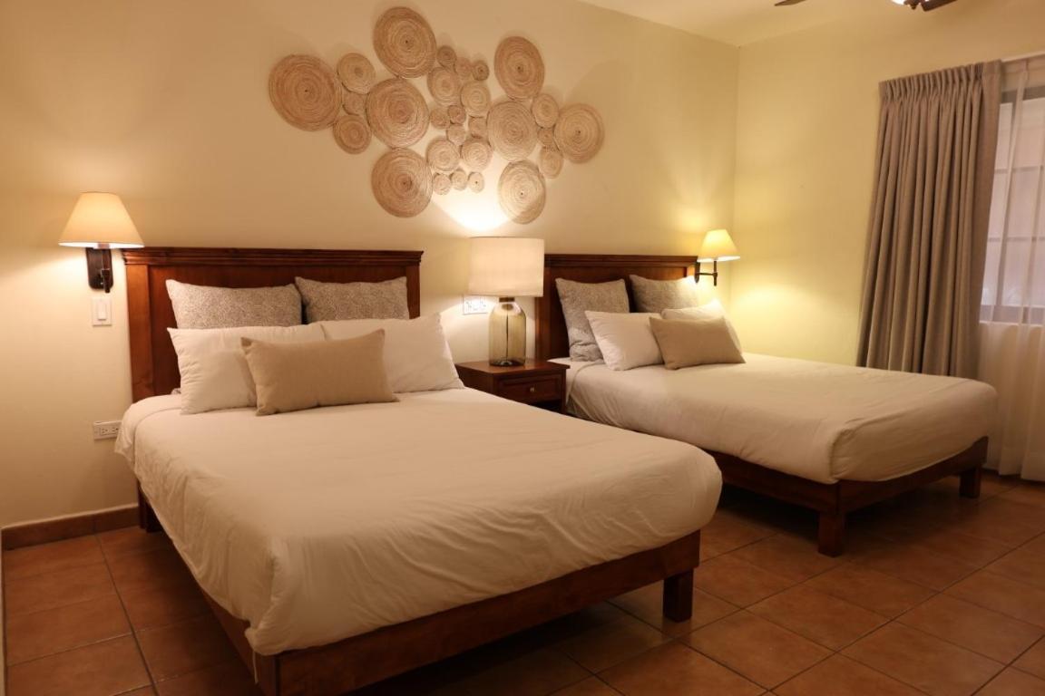 Hotel Colli San José del Cabo Екстериор снимка